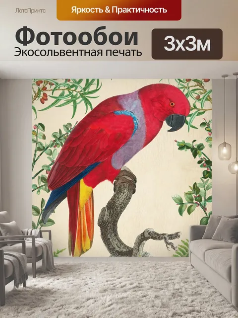 Фотообои Попугай старинный художественный плакат