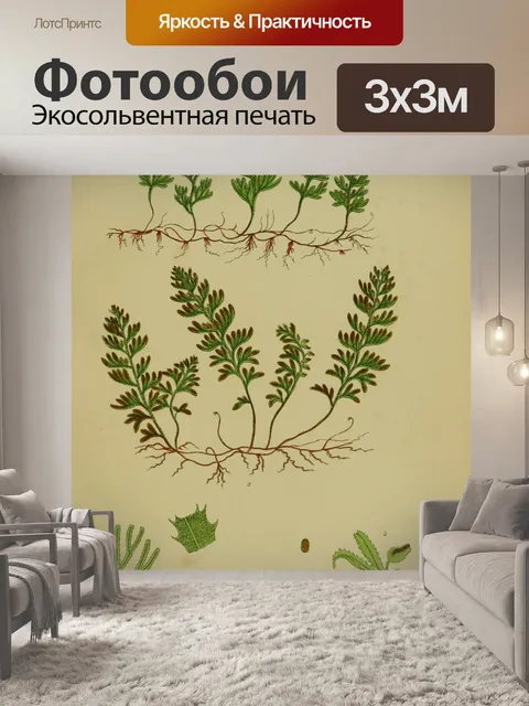 Фотообои Винтажное искусство листьев папоротника
