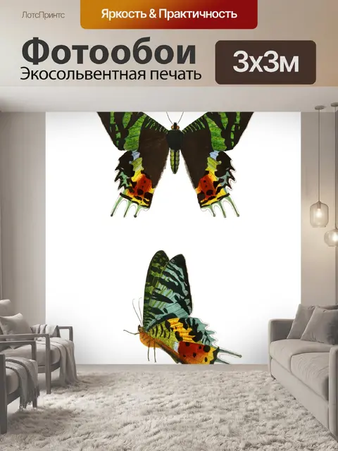 Фотообои Бабочки мотылек винтажное искусство