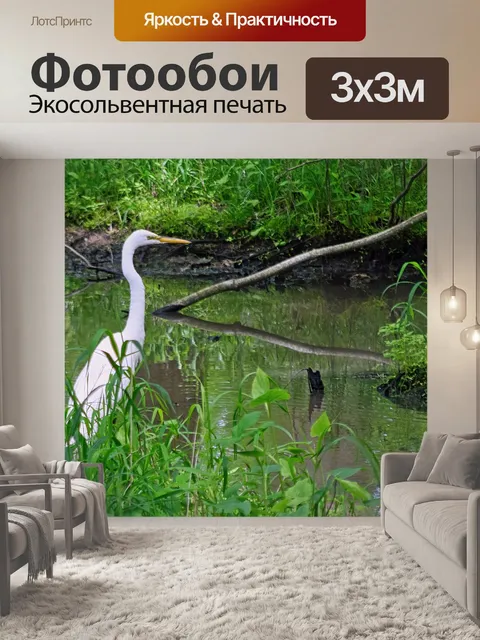 Фотообои Цапля