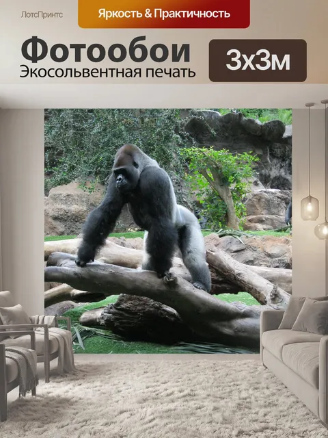 Фотообои Горилла