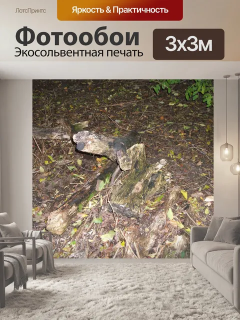 Фотообои Дрова