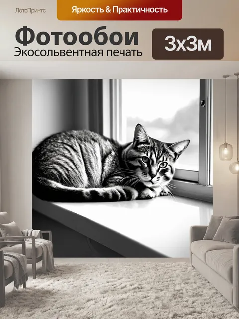 Фотообои животные в стиле черно-белый: уютная кошка