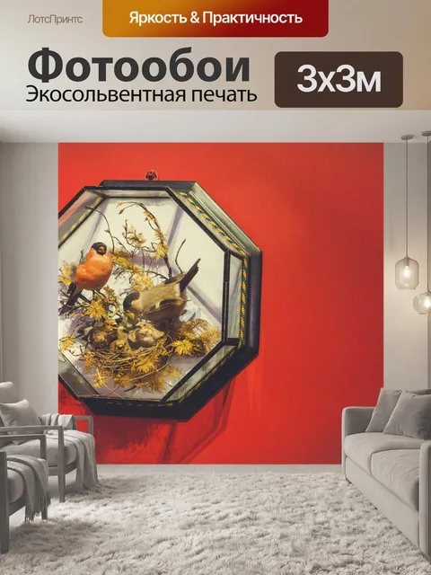 Фотообои выставка чучела птиц