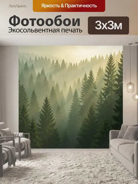 Фотообои Сосновый лес в туманном свете
