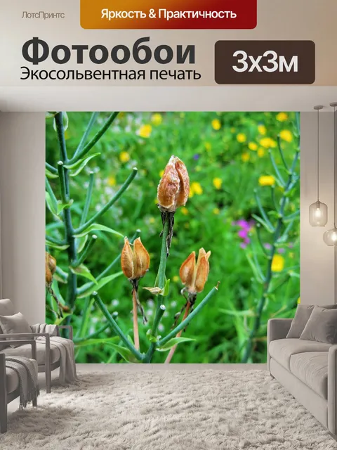 Фотообои коричневые сухие стручки