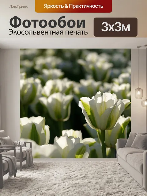 Фотообои Тюльпаны