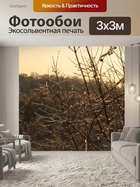 Фотообои Зима
