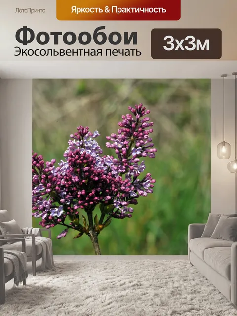Фотообои Фиолетовый Почки