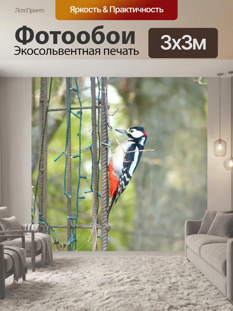 Фотообои Большой пёстрый дятел