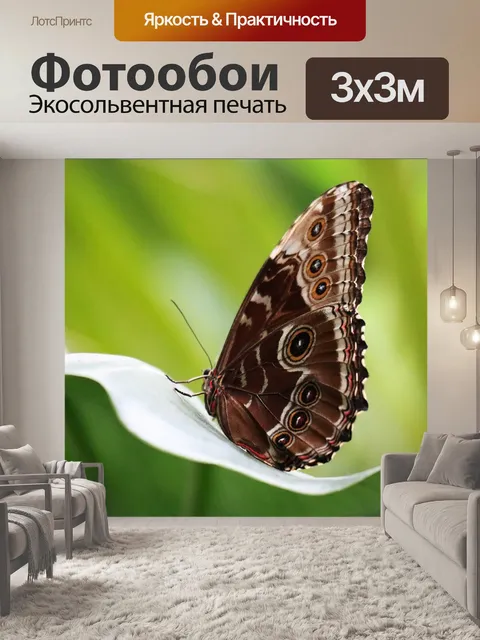 Фотообои Небо бабочка