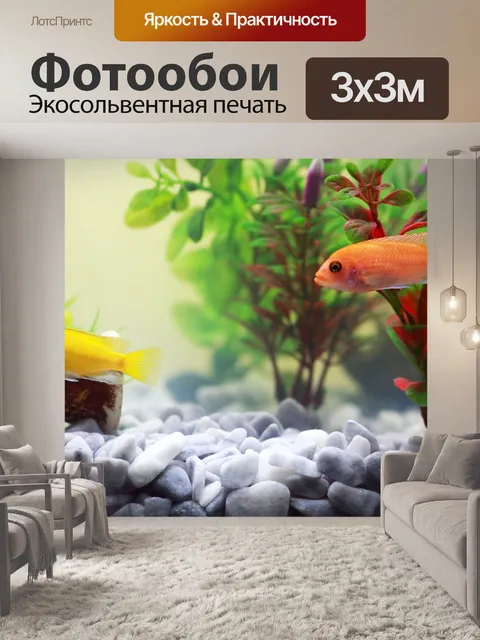 Фотообои Рыбки