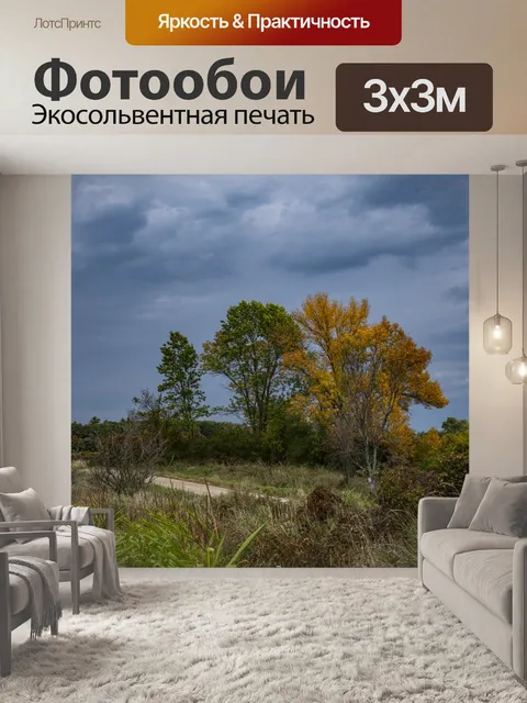 Фотообои Вермонт Осень Цвет