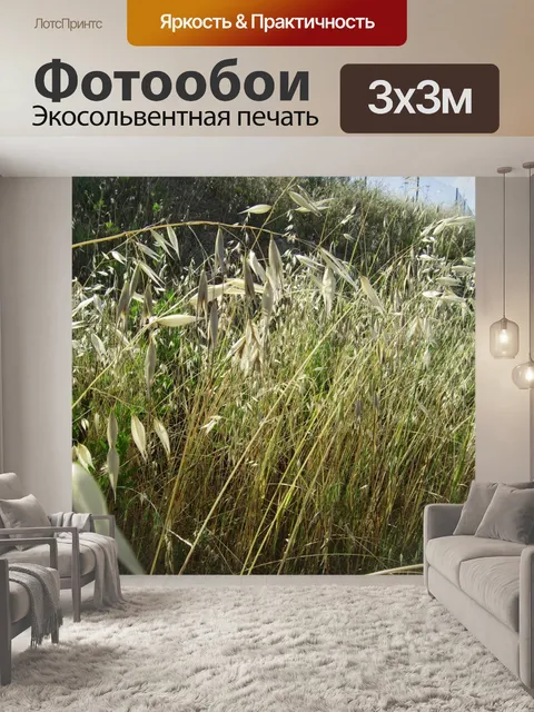 Фотообои Сухие травы