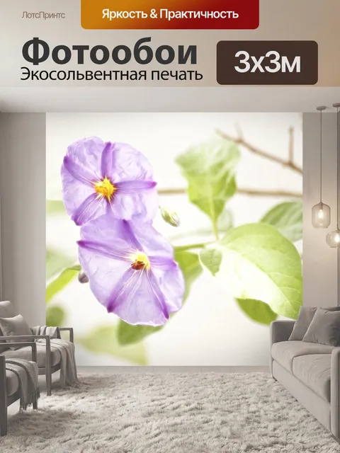 Фотообои Пастельные цветы