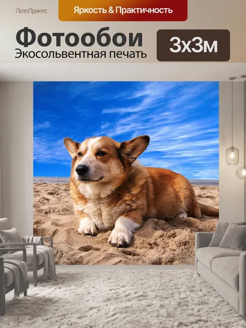 Фотообои Вельш корги