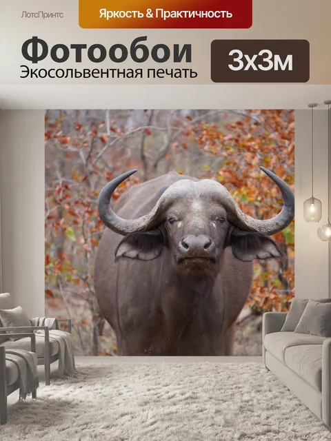 Фотообои Дикая природа