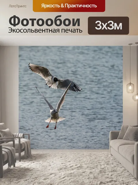 Фотообои Полет