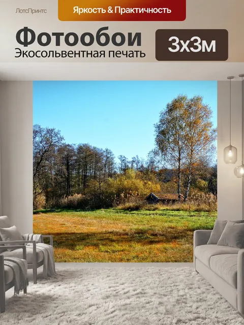 Фотообои Деревья