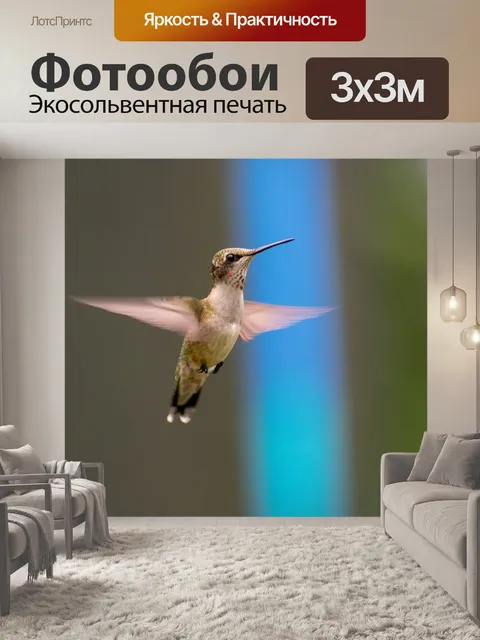 Фотообои Птица
