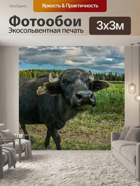 Фотообои Летом