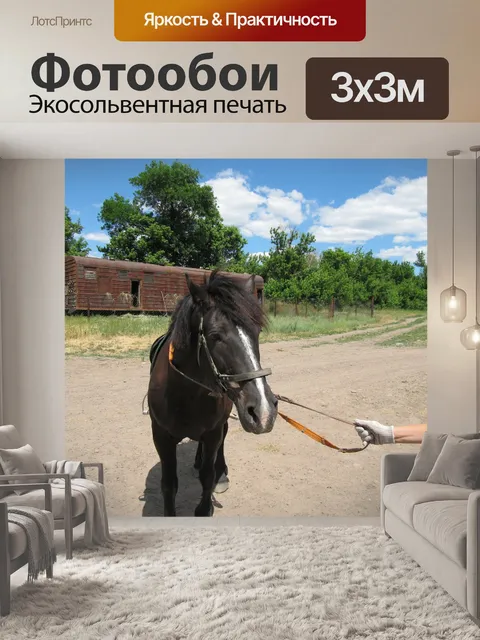 Фотообои Конь