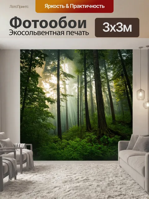 Фотообои фон с таинственным лесом, где утренний туман окутывает высокие деревья, а лучи света пробиваются сквозь листву