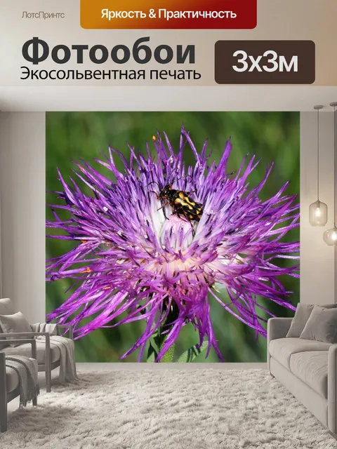Фотообои Полосатый длиннохвостый жук
