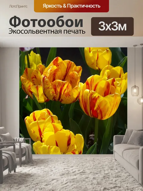 Фотообои Тюльпаны