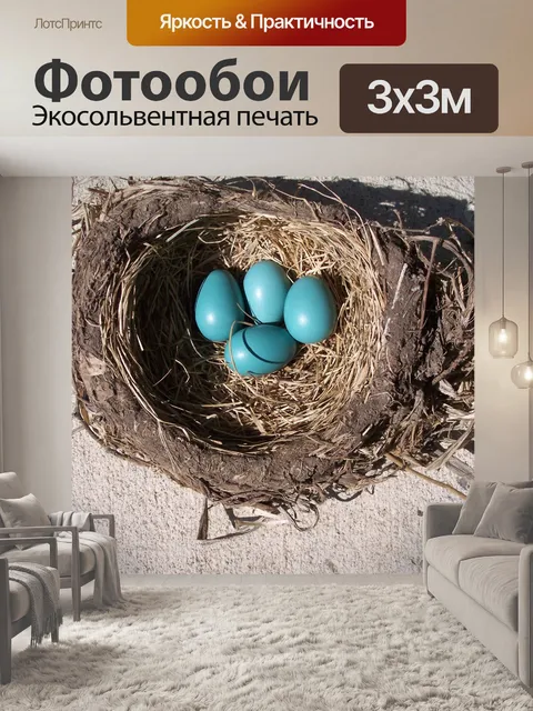 Фотообои гнездо