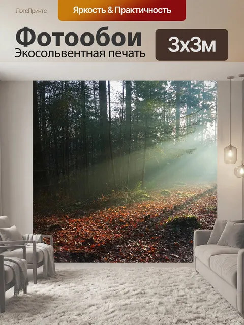 Фотообои Туман