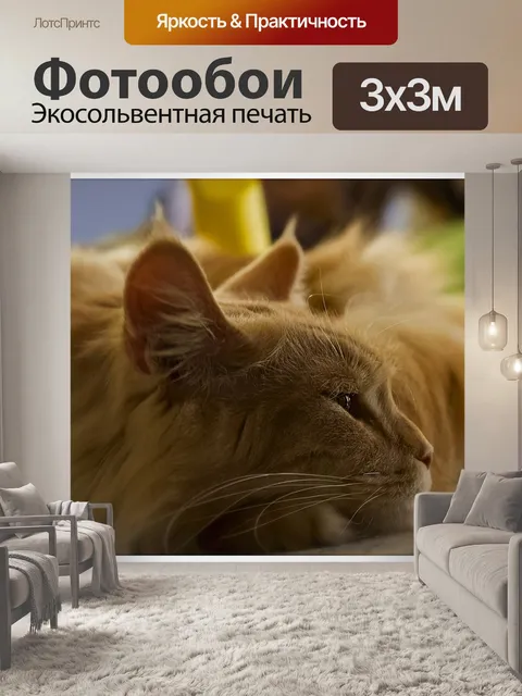Фотообои Кошка