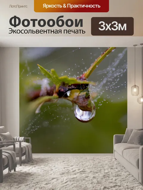 Фотообои Капли