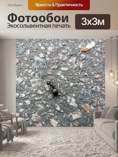 Фотообои Асфальт фоновой