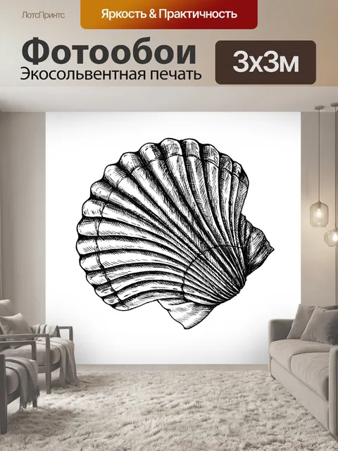 Фотообои PNG ракушка