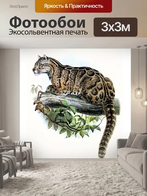 Фотообои Большая кошка кошка старинное искусство