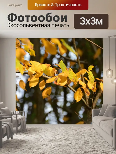Фотообои Листья на солнце