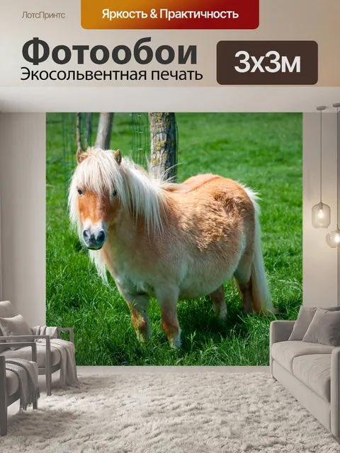 Фотообои Шетландские пони, пони
