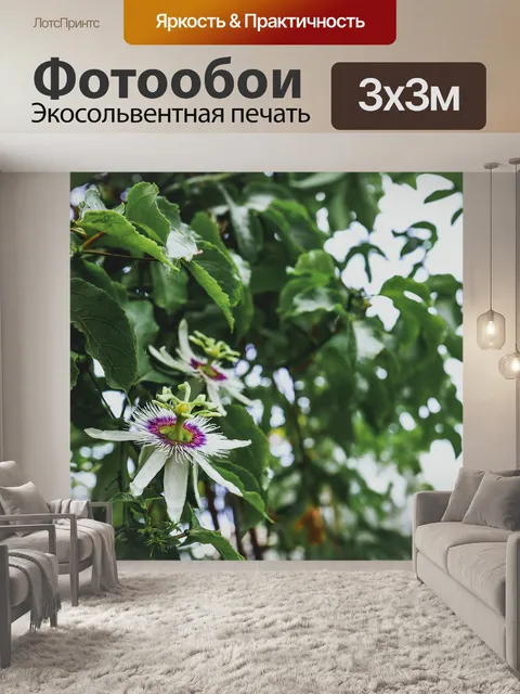 Фотообои Листья