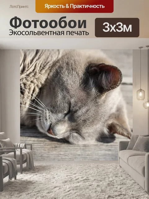 Фотообои Кошка