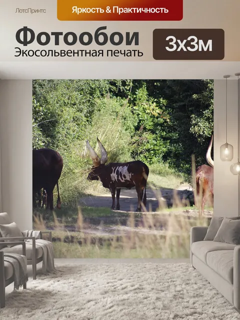 Фотообои Дисней