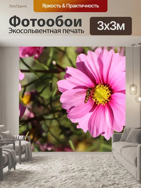 Фотообои Космос