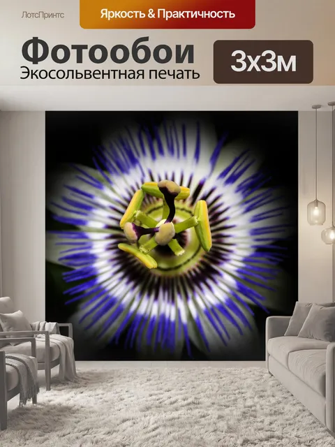 Фотообои Passiflora Пассифлора