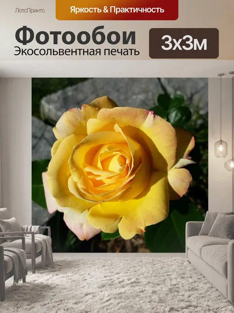 Фотообои Роза