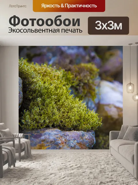 Фотообои Мох
