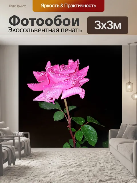 Фотообои Роза