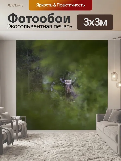 Фотообои Лось
