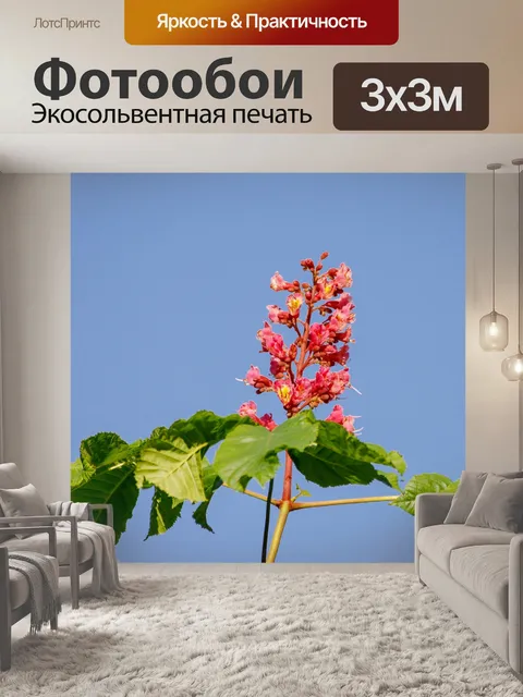 Фотообои Цветок красного каштана