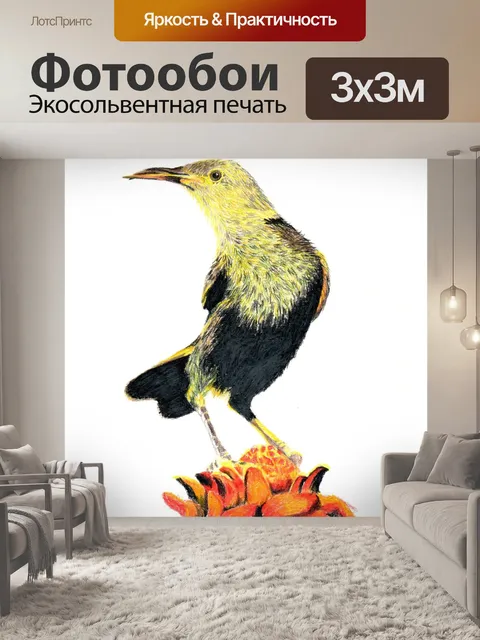 Фотообои Карандаш