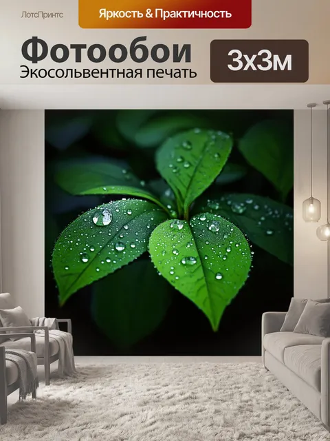 Фотообои черный с капельками росы на листьях, создающий эффект свежести